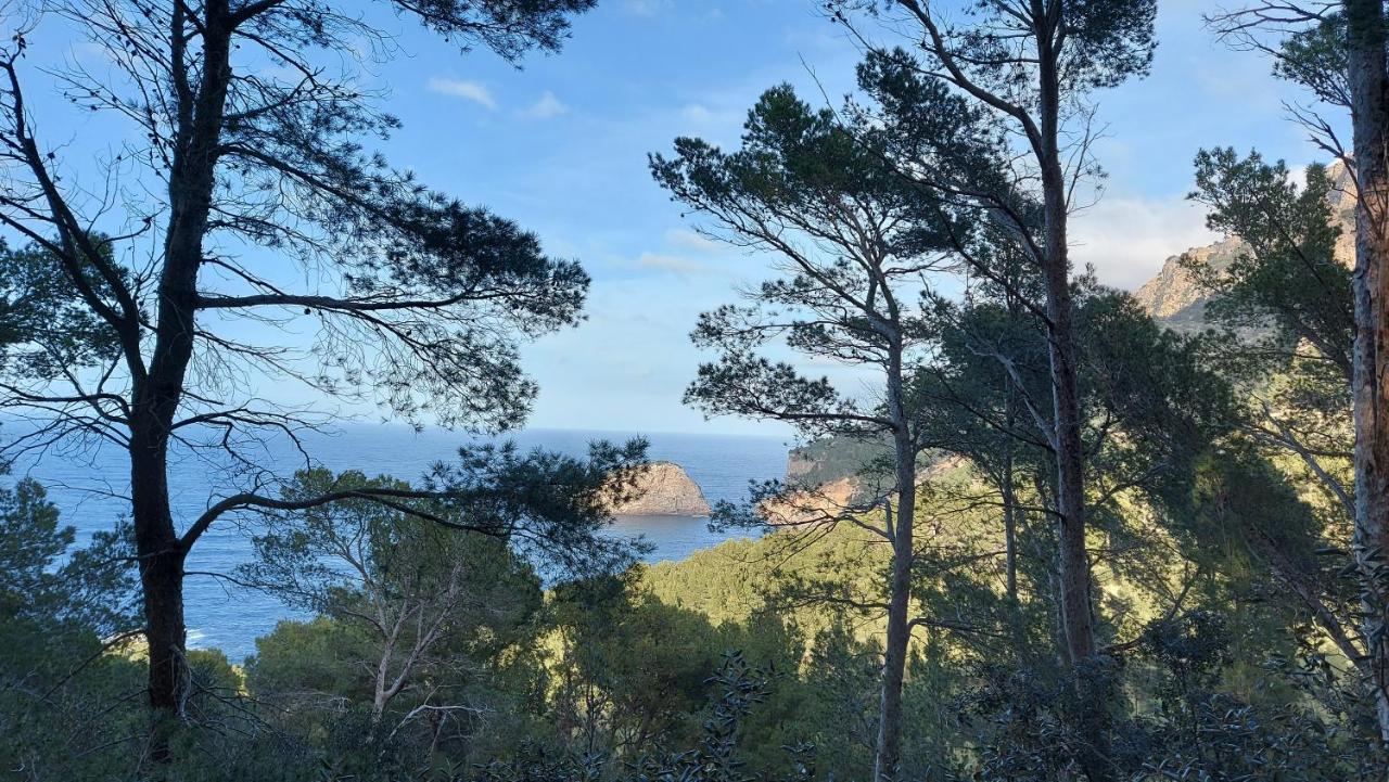 Villa Ideal Soller Bagian luar foto